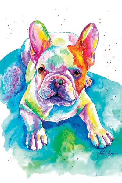 French Bulldogs: Bulldog Frances Bebé by Yubis Guzman
