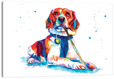 Bleagle Mira Hacia El Cielo Canvas Art Print - Beagle Art