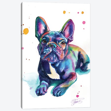 Bebe Bulldog Canvas Print #YGM145} by Yubis Guzman Canvas Print