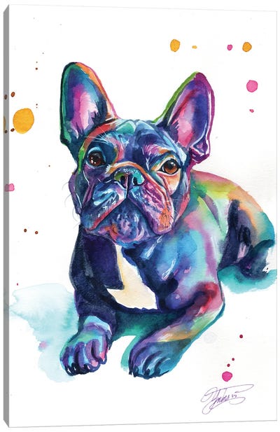 Bebe Bulldog Canvas Art Print - Yubis Guzman