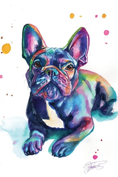 French Bulldogs: Bebe Bulldog by Yubis Guzman