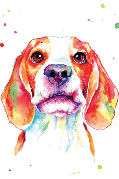 Beautiful Beagle Puppy by Yubis Guzman metal wall art