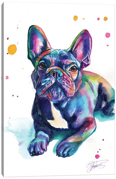 Baby French Bulldog Canvas Art Print - Puppy Art
