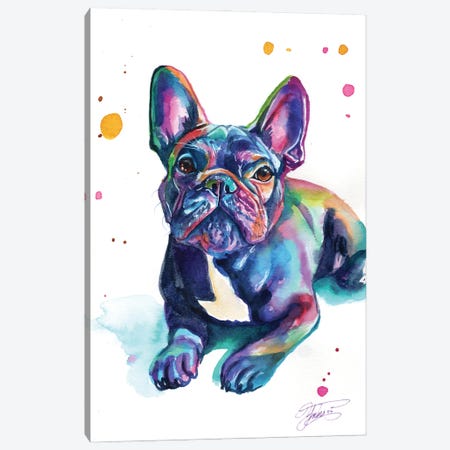 Baby French Bulldog Canvas Print #YGM152} by Yubis Guzman Canvas Print