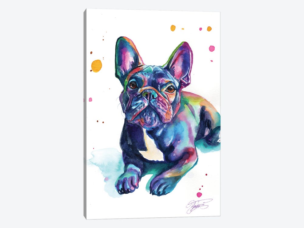 Baby French Bulldog by Yubis Guzman 1-piece Canvas Art Print