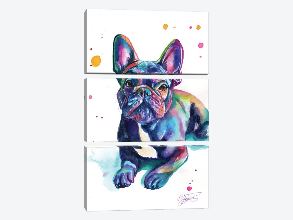 Baby French Bulldog by Yubis Guzman 3-piece Canvas Art Print