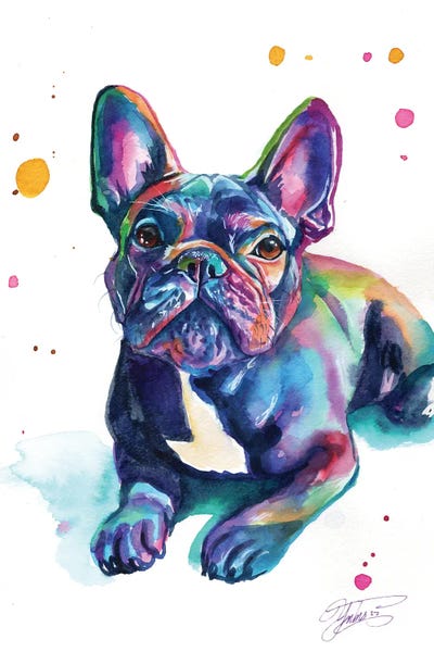 Puppies: Baby French Bulldog by Yubis Guzman