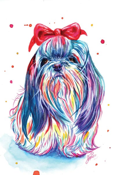 Maltese: Flirty Maltese Bichon by Yubis Guzman