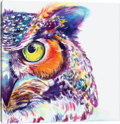 Owl Canvas Art Print - Yubis Guzman