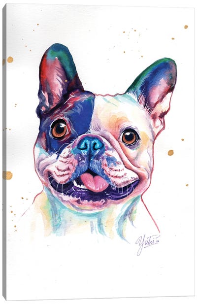 Funny French Bulldog Canvas Art Print - Yubis Guzman