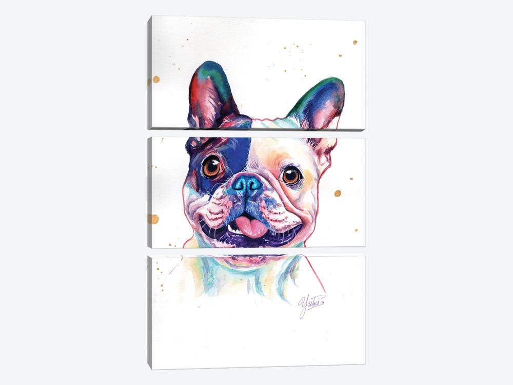 Funny French Bulldog by Yubis Guzman 3-piece Canvas Art