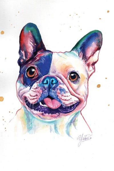 French Bulldogs: Funny French Bulldog by Yubis Guzman