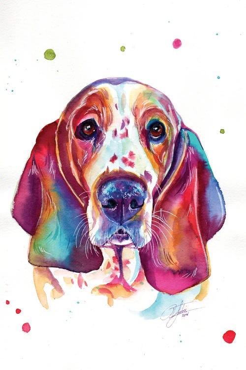Basset Hound by Yubis Guzman wall art