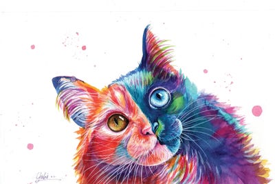 Complementary Cat by Yubis Guzman framed wall art