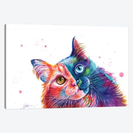 Complementary Cat Canvas Print #YGM160} by Yubis Guzman Canvas Art