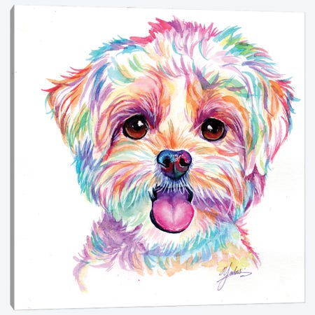 Happy Poodle Puppy Canvas Print #YGM163} by Yubis Guzman Canvas Artwork