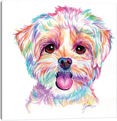 Happy Poodle Puppy Canvas Art Print - Puppy Art
