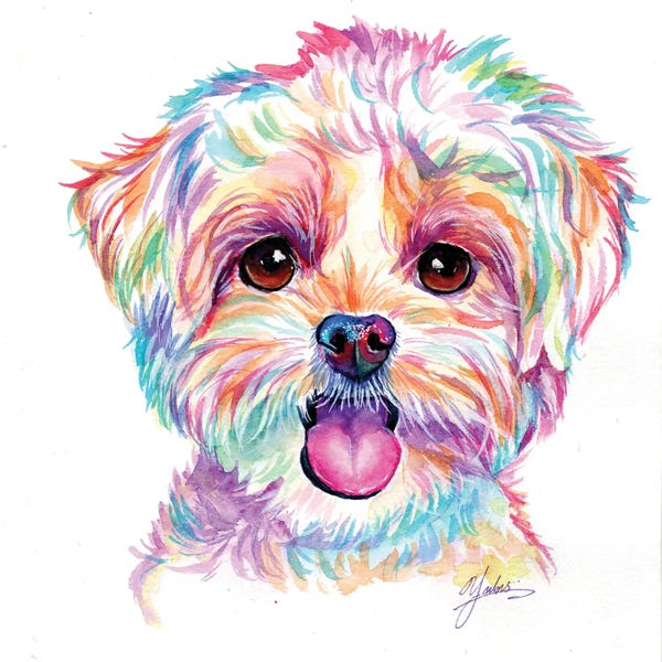 Puppies: Happy Poodle Puppy by Yubis Guzman