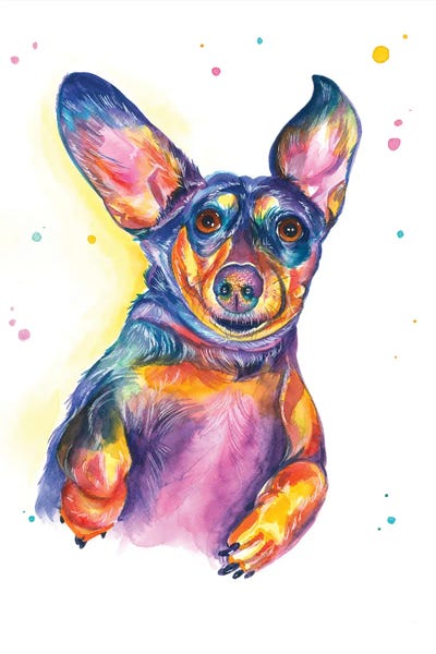 Dachshunds: Dachshund - Play With Me by Yubis Guzman