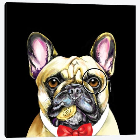 Bulldog Frances Elegante Canvas Print #YGM175} by Yubis Guzman Canvas Art