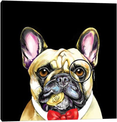 Bulldog Frances Elegante Canvas Art Print - Money Art