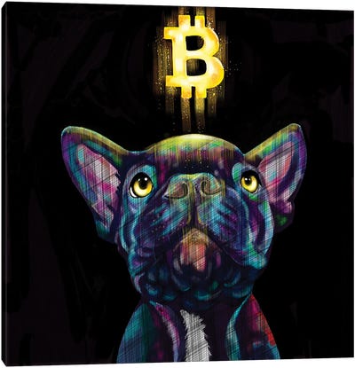 Bulldog Frances Futurista Canvas Art Print - Money Art