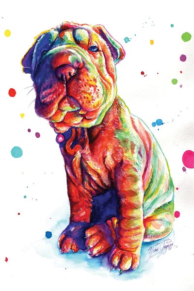 Yubis Guzman: Colorful Shar Pei Puppy by Yubis Guzman