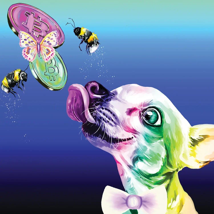 Chihuahua Arcoiris Rico by Yubis Guzman wall art