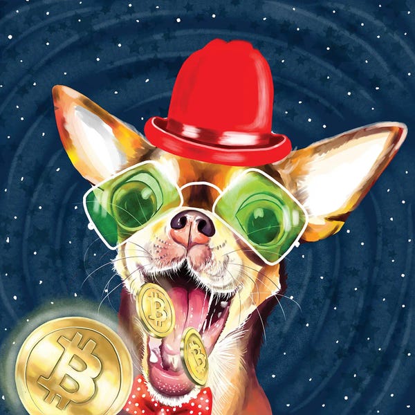 Money: Chihuahua Atrapa Moneda by Yubis Guzman