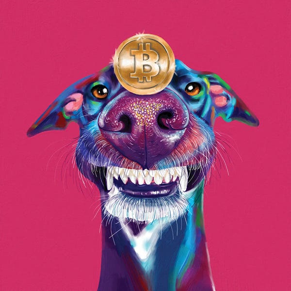 Money: Cripto Perro Bitcoin by Yubis Guzman