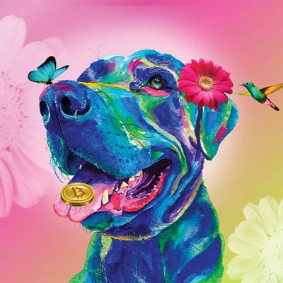 Perro Azul Jardin by Yubis Guzman framed canvas print