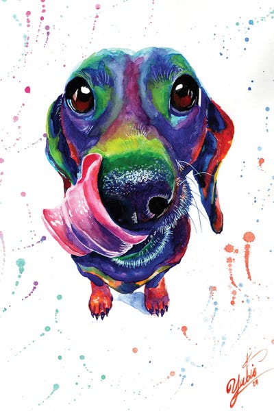 Dachshunds: Cute Dachshund by Yubis Guzman