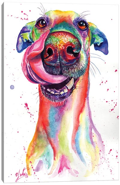 Attractive Dog Canvas Art Print - Yubis Guzman