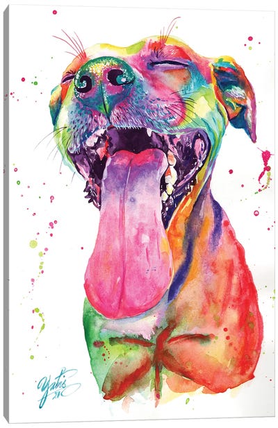 Colorful Pitbull II Canvas Art Print - Pit Bull Art