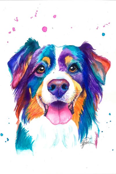 Yubis Guzman: Border Collie Colorido by Yubis Guzman