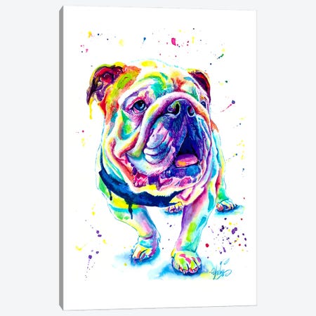 Bulldog Ingles Colorido Canvas Print #YGM212} by Yubis Guzman Canvas Art