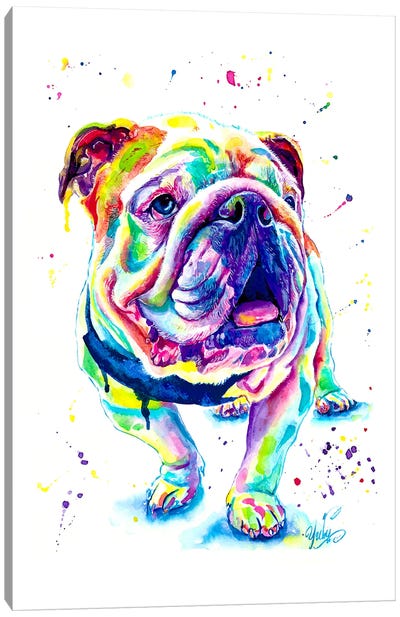 Bulldog Ingles Colorido Canvas Art Print - Yubis Guzman
