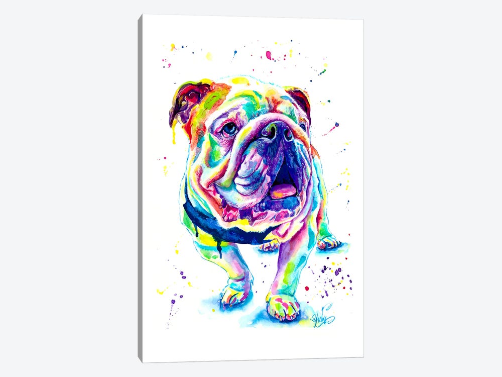 Bulldog Ingles Colorido by Yubis Guzman 1-piece Canvas Print