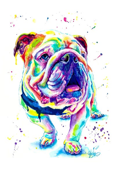 Yubis Guzman: Bulldog Ingles Colorido by Yubis Guzman