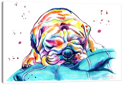 Bulldog Inglés Dormilón Canvas Art Print - Yubis Guzman