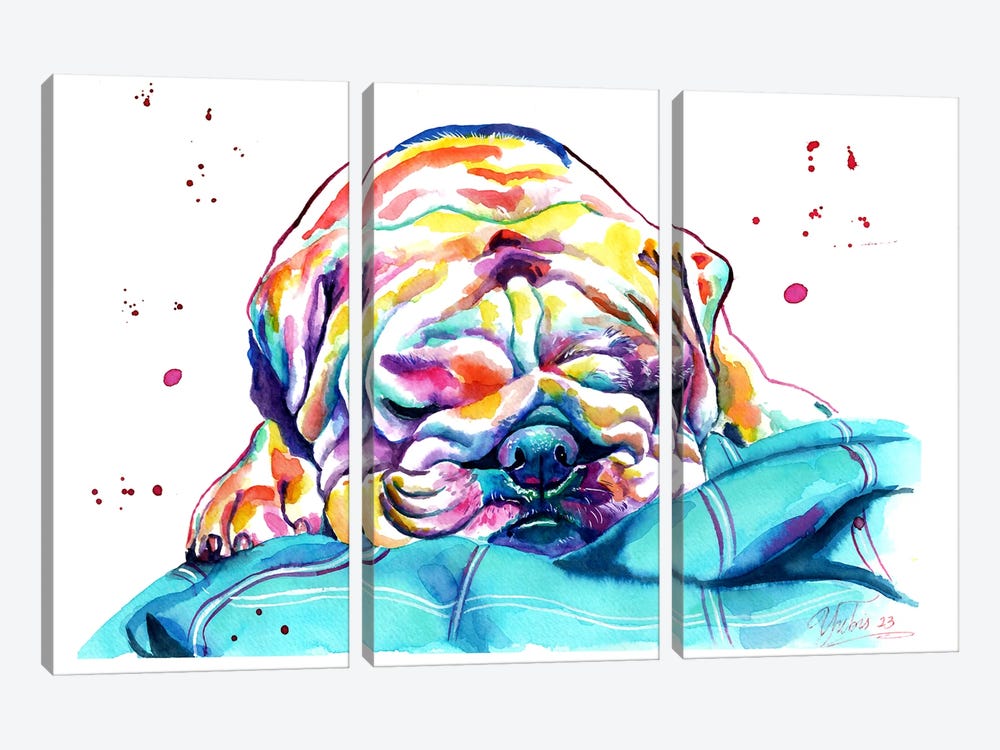 Bulldog Inglés Dormilón by Yubis Guzman 3-piece Canvas Artwork