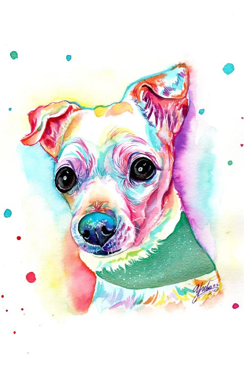 Chihuahua Colorido Blanco by Yubis Guzman wall art