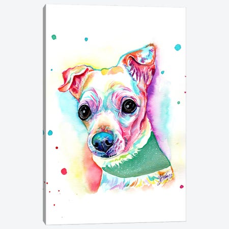 Chihuahua Colorido Blanco Canvas Print #YGM214} by Yubis Guzman Canvas Art Print