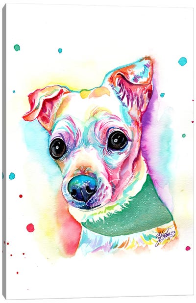 Chihuahua Colorido Blanco Canvas Art Print - Yubis Guzman