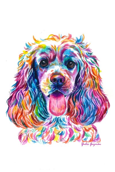Spaniels: Cocker Coqueta Y Colorida by Yubis Guzman