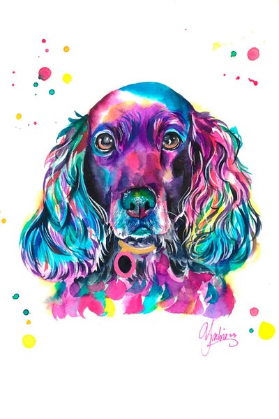 Spaniels: Cocker by Yubis Guzman