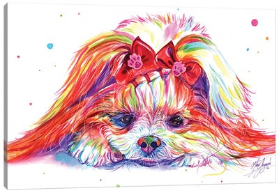 Cute Dog Canvas Art Print - Shih Tzu Art