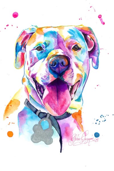 Dogo Argentinos