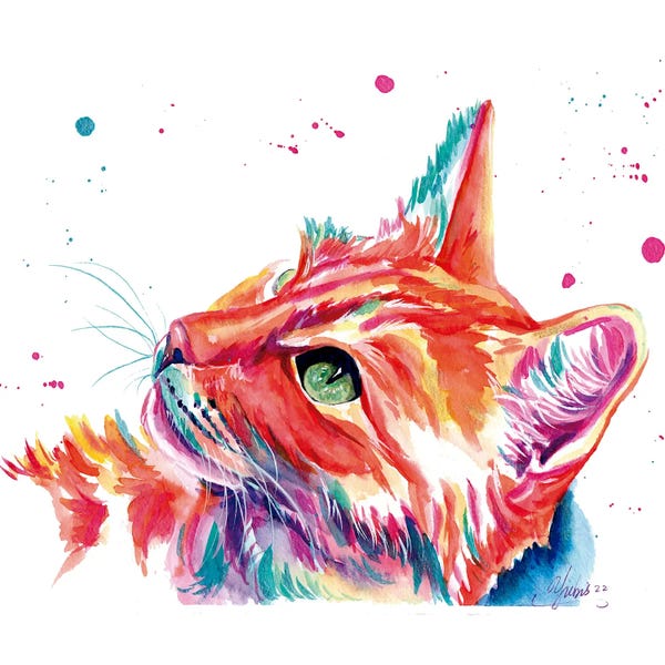 Orange Cats: Gato Naranja Colorido by Yubis Guzman