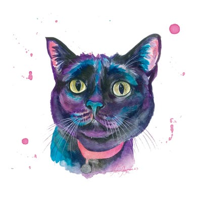 Gato Negro Colorido by Yubis Guzman framed wall art